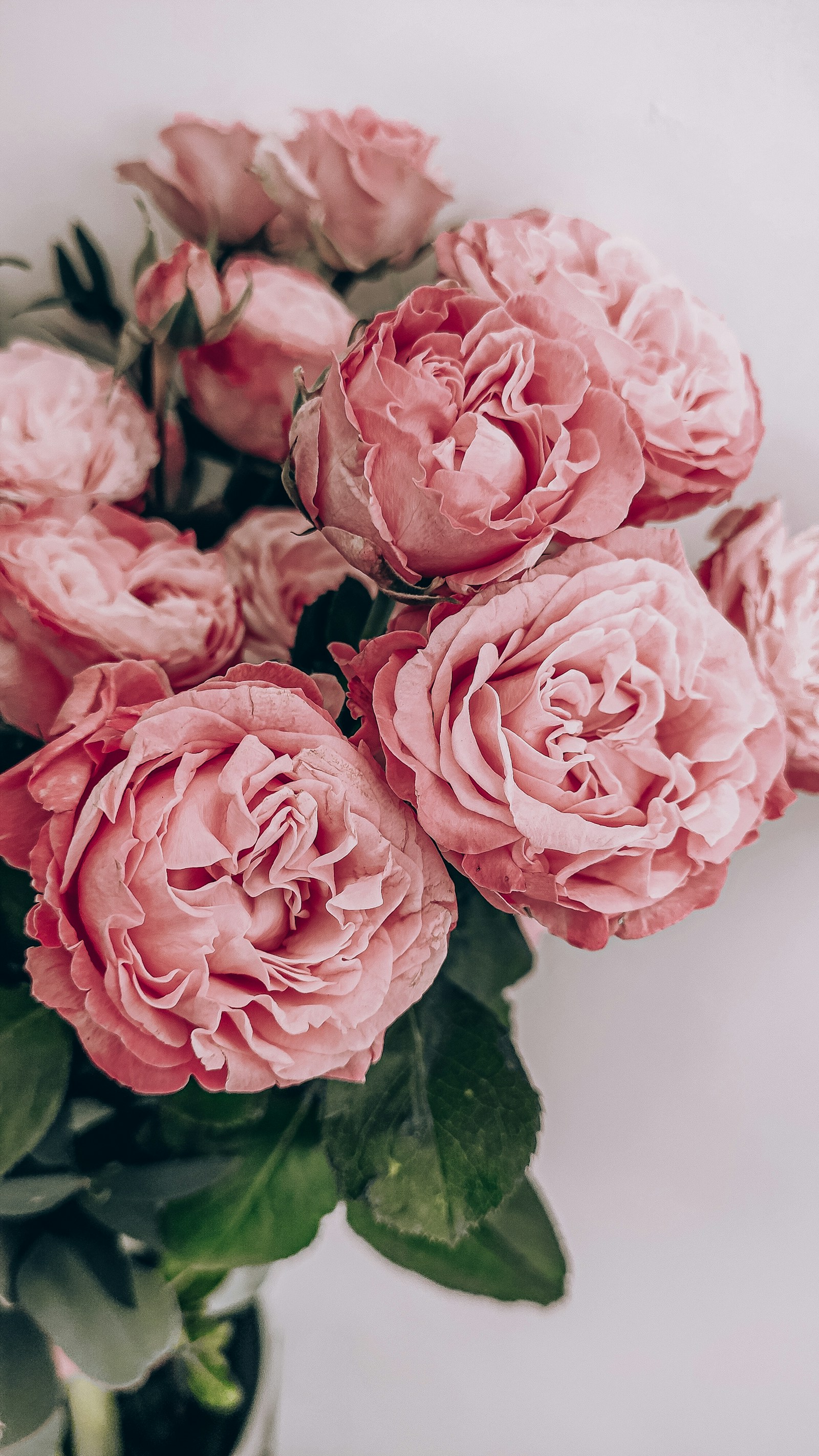 Flores rosadas de inspiración para el ramo